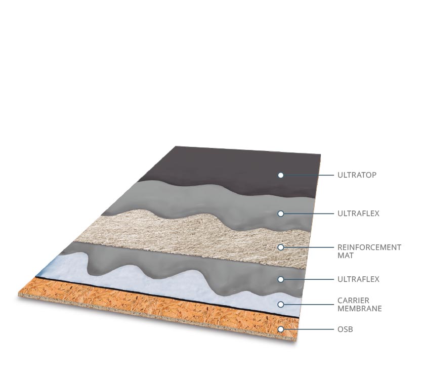 Carrier membrane diagram